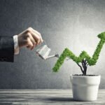 The Inside Story on How Investors are Getting Rich from Pot Stocks