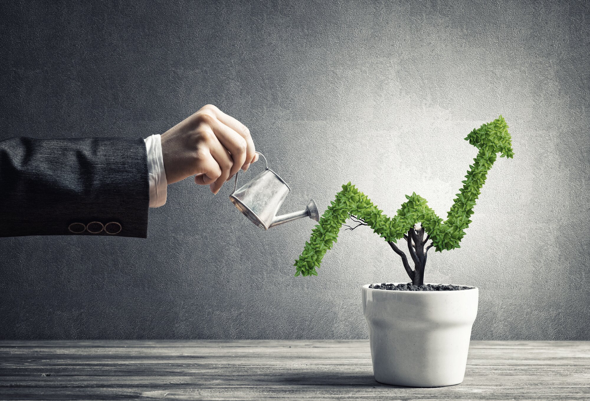 pot stocks