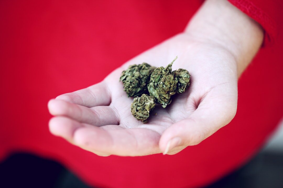 420 investor