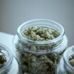 Top Ten Marijuana Millionaires – Look Who Made it Rich in the Weed Business