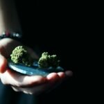 Profit From Pot: 5 Ways to Get Rich With Weed