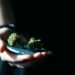 Profit From Pot: 5 Ways to Get Rich With Weed