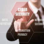 What Cyber Security Plan Do Rich People Use to Protect Their Assets?